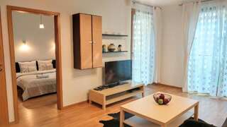 Апартаменты Angel Plaza Apartments Краков Апартаменты с 1 спальней-48